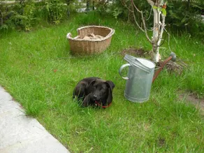 Appartement avec jardin | Vue nature - Image 5