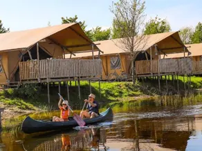 Pet-Friendly Getaway - Image 3