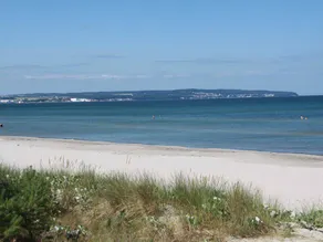 Apartment | Sea view | Next to the beach | Perfect for remote work | Dogs allowed - Image 5
