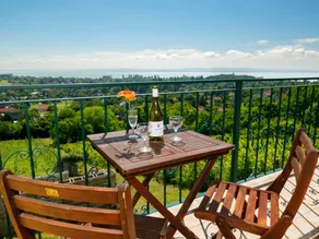 House with BBQ, garden & terrace | Lake view - Image 4