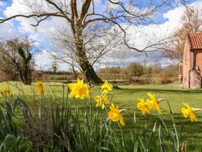 Children-friendly charming cottage with pool, barbeque & hot tub | Pets allowed - Image 3