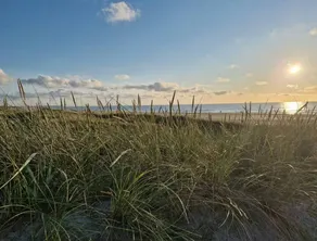 Beach house surrounded by wild nature - Image 2