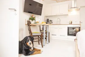 Holiday apartment | Good for workation | Pets are welcome - Image 5