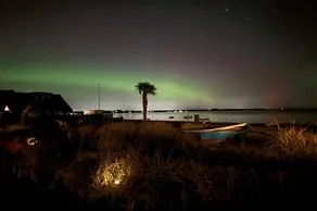 Holiday home with barbeque, sauna & terrace | Sea view - Image 4