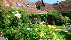 Children-friendly lovely house with garden, BBQ & terrace | Garden view | Pet-friendly - Image 5