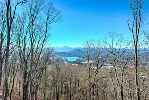 Skyline Ridge Modern New Build with Long Range Blue Ridge Mountain Views in Arden - Image 2