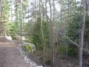 Maison avec sauna - Image 5