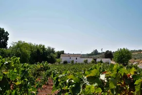 Villa with terrace, private pool & garden | Garden view - Image 3