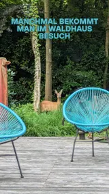 Pleasant chalet with terrace, garden & barbeque | Nature view - Image 4