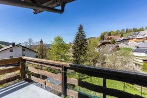 Fully equipped pleasant private room | Garden view | Close to the ski | Dogs allowed - Image 2