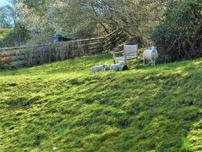 Cottage with garden - Image 3