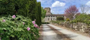 Family-friendly beautiful cottage with barbeque & garden | Garden view | Pets are welcome - Image 2