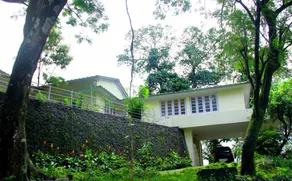 Bungalow Hillview Plantation - Image 3