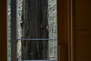 Echo - Image 4