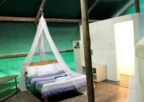 Eco-Friendly Tented Cabin in the Rainforest, Australia - Image 2