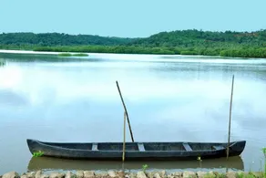 Kannur natural homestay (Delux ) - Image 4