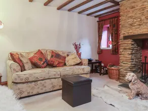 Family-oriented pleasant cottage with garden | Beach view | Pets are welcome - Image 4