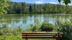 Family-oriented charming house with BBQ, garden & terrace | Lake view | Good for workation | Pets are welcome - Image 3