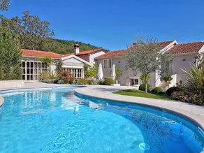 Fully equipped spacious villa with barbecue, garden & private pool - Image 5