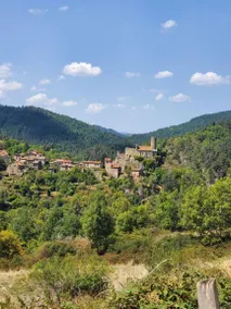 Fully equipped holiday home with garden | Garden view | Perfect for remote work | Dogs allowed - Image 2