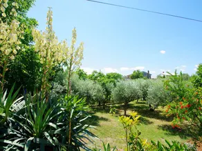 Ferienhaus mit Garten, Terrasse und Grill | Naturblick | Hunde erlaubt - Image 3