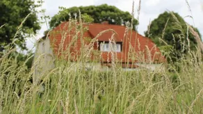 Children-friendly house with barbeque, terrace & garden | Perfect for remote work | Dogs allowed - Image 4