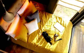 Eco-Friendly Tiny House Perfect for a Romantic Getaway near Devonport, Tasmania - Image 5
