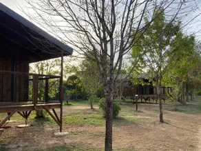 Zelt mit Terrasse und beheiztem Pool - Image 5