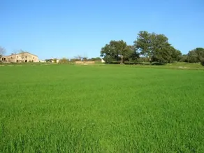 House with barbeque, private pool & garden | Nature view - Image 3
