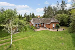 Holiday home with terrace, sauna & hot tub | Pets are welcome - Image 2