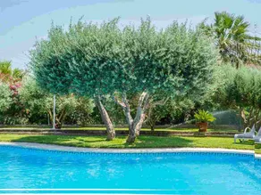 Cottage with terrace, private pool & BBQ | Mountain view - Image 2