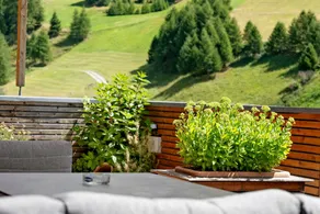 Charmante "Ferienwohnung Terrasse" mit Bergblick und Terrasse; Parkplätze vorhanden - Image 3