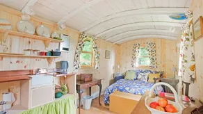 Ferienhaus mit Garten | Hunde erlaubt - Image 3