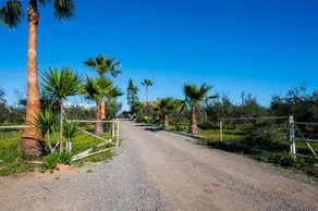 Ferienhaus 'El Paraíso Del Olivar' mit privatem Pool, Terrasse und Klimaanlage - Image 2