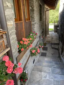 Appartamento con terrazza | Ammette animali domestici - Image 5