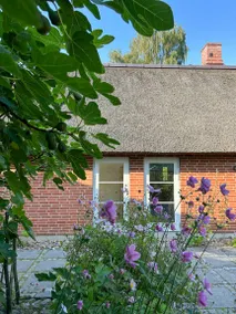 Holiday home with terrace - Image 4