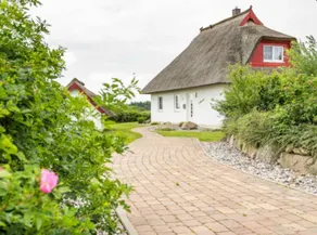 Fully equipped holiday home with BBQ, sauna & garden | Nature view | Pet-friendly - Image 3