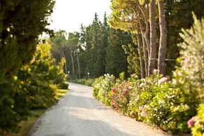 Agriturismo Palazzo Astolfi - Image 4