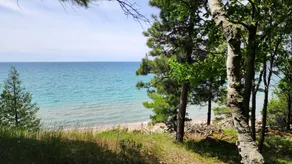 Tree Fort - Honeymoon Cottage On Lake Michigan - Image 2