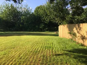Ruhiges Ferienhaus mit privatem Garten und hundefreundlich - Image 2