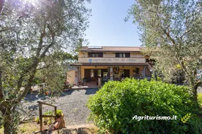 Val di Nappo: Fragola - Image 4