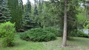 House with garden, terrace & barbecue - Image 2
