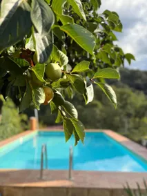 Casa Rural Orilla del Hueznar – Relax en la Sierra Norte de Sevilla - Image 2