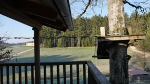 Baumhaus Hotel Voglsam - Image 5