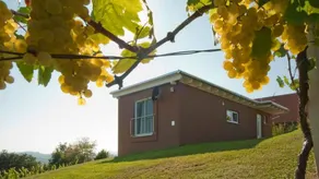 House with terrace, sauna & barbecue - Image 4