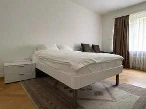 Schönes Doppelzimmer, Zürich-Enge - Image 4