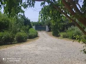 Villetta nel verde - Image 2