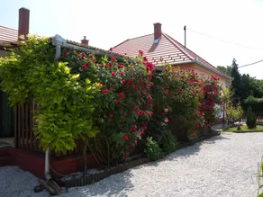 House with terrace, garden & barbeque - Image 2