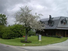 Ferienwohnung Erna - Image 3