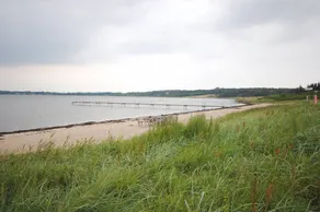 Fully equipped holiday home with terrace | Water view | Close to the beach | Pet-friendly - Image 3